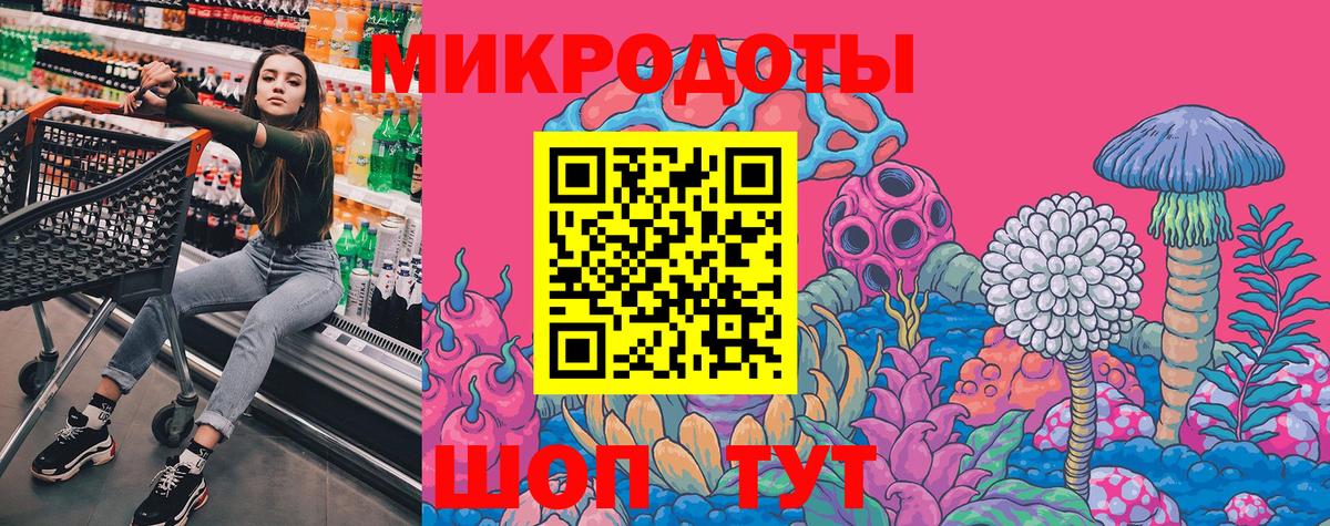 Псилоцибиновые грибы Psilocybine cubensis Мелеуз