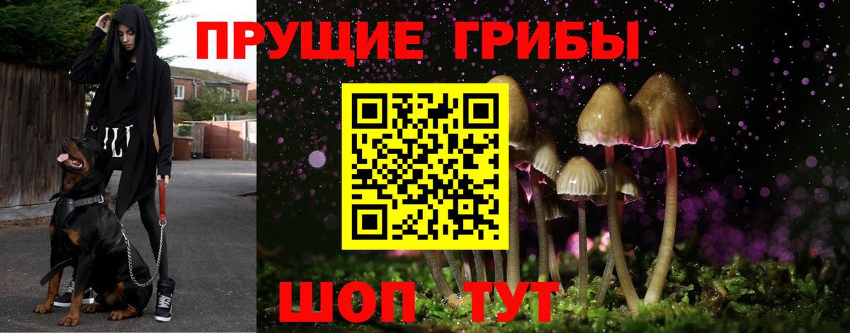 Галлюциногенные грибы GOLDEN TEACHER  Галлюциногенные грибы Psilocybe  Вход с VPN  Мелеуз 